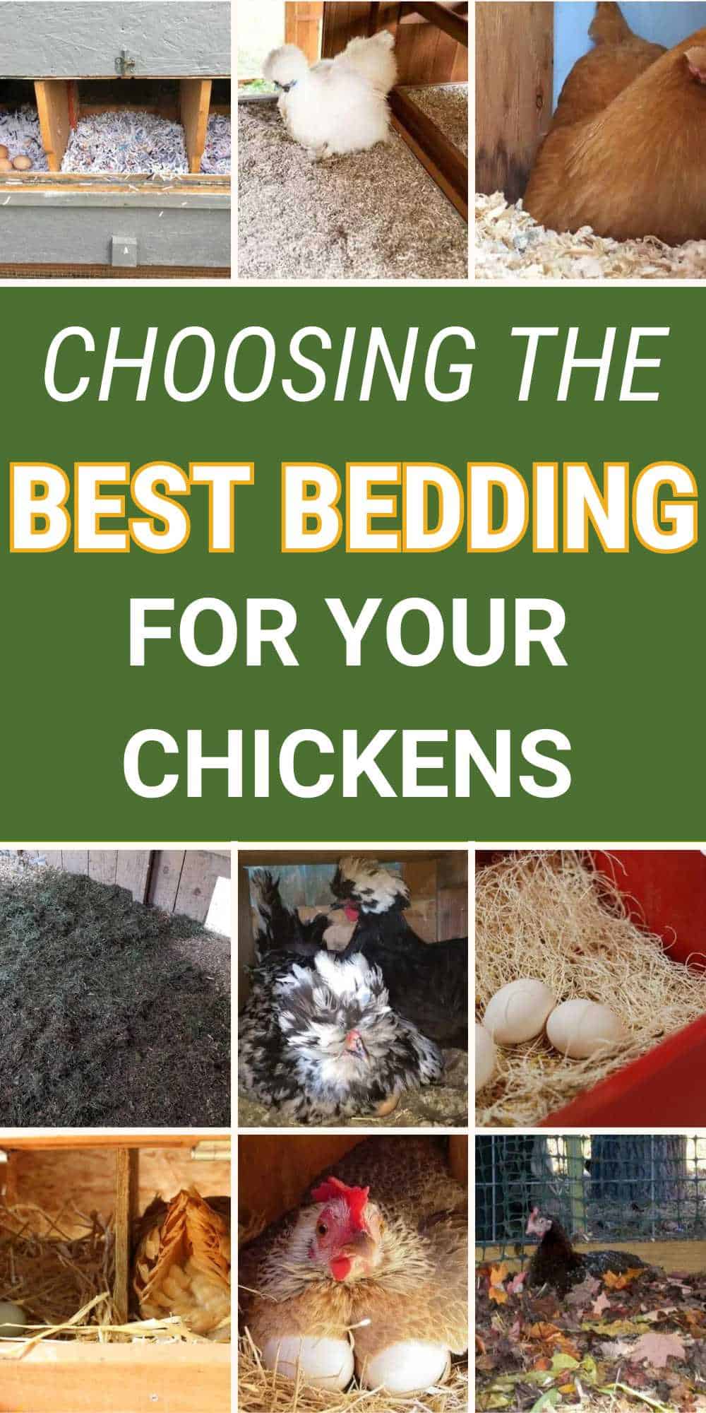Choose the Right Chicken Bedding