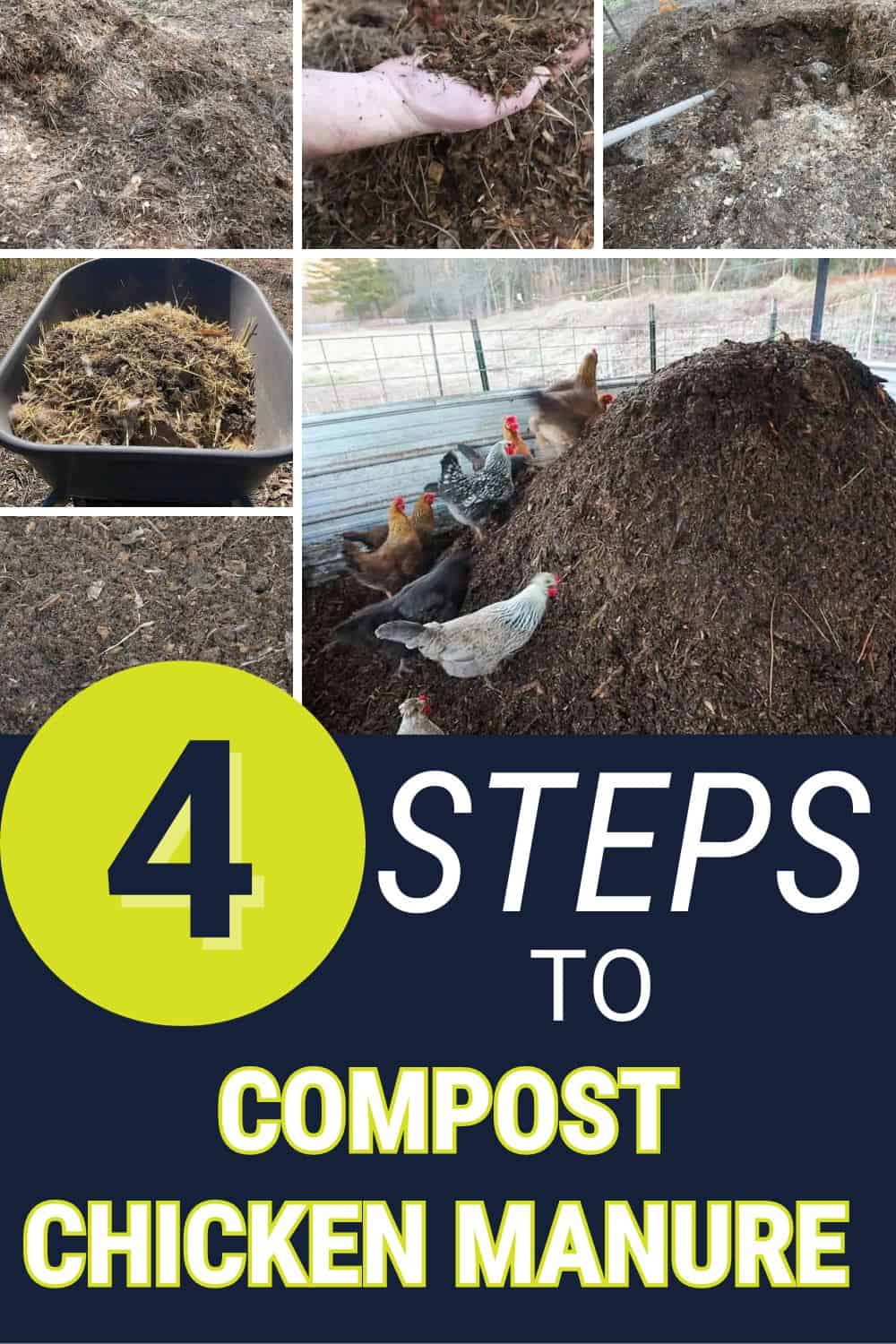 Compost Chicken Manure