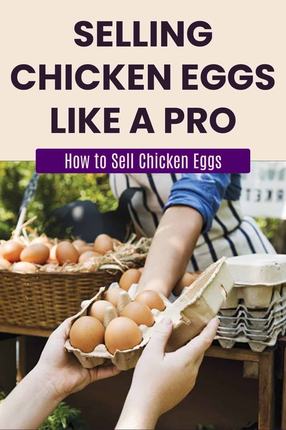 How to Sell Chicken Eggs