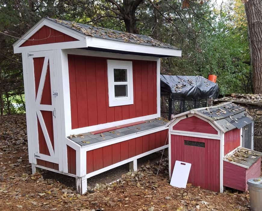 build 4x8 chicken coop
