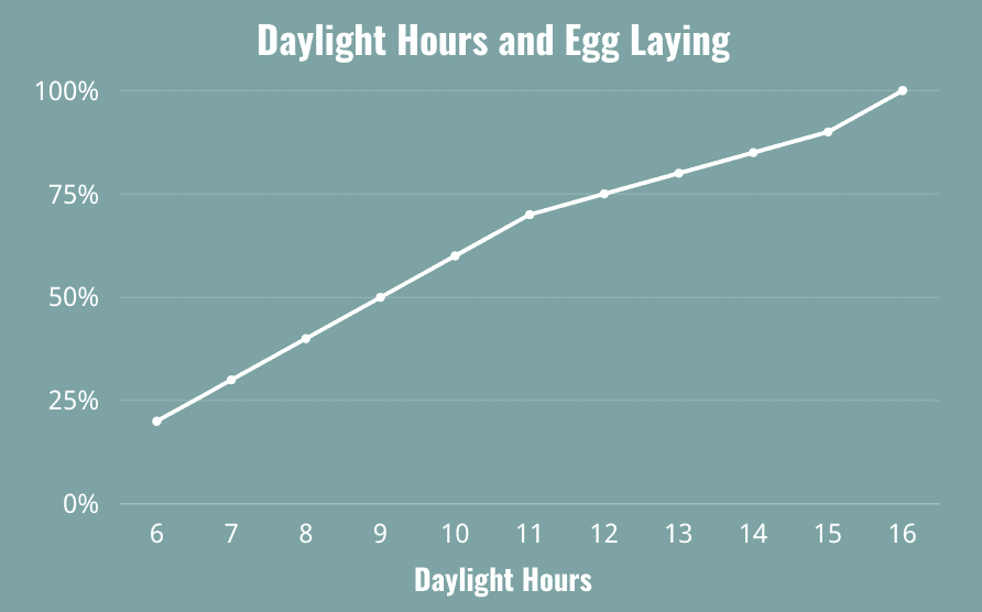 daylight hours and egg laying