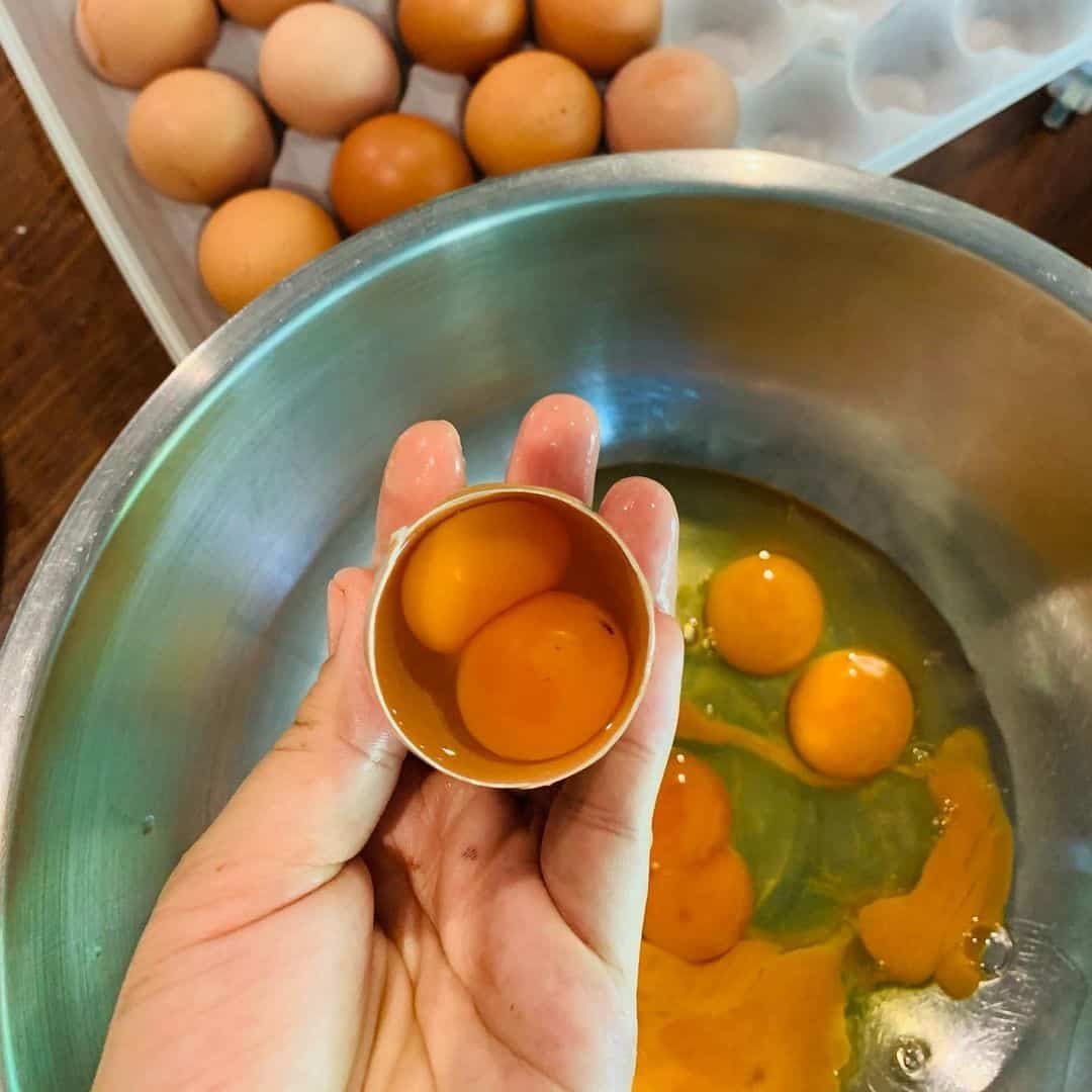 egg with 2 yolks