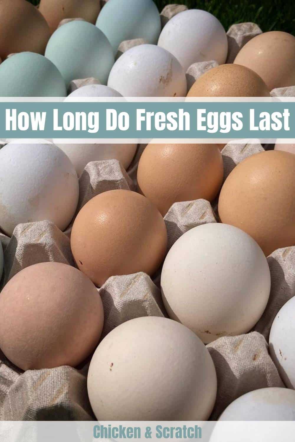 how long do fresh eggs last
