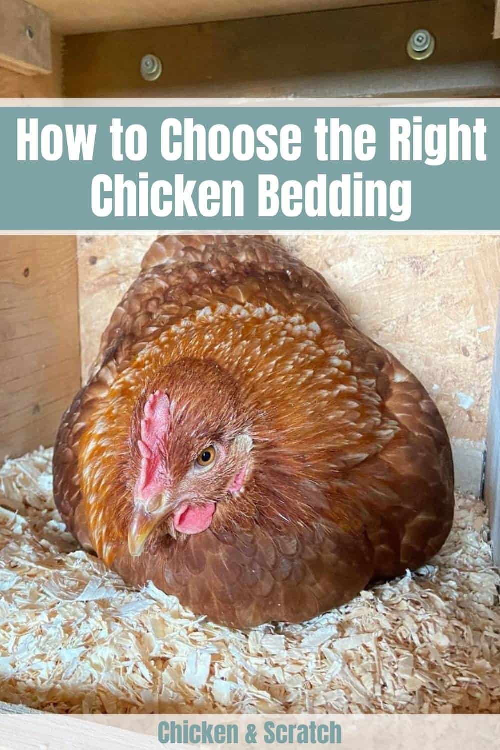 how to choose chicken bedding