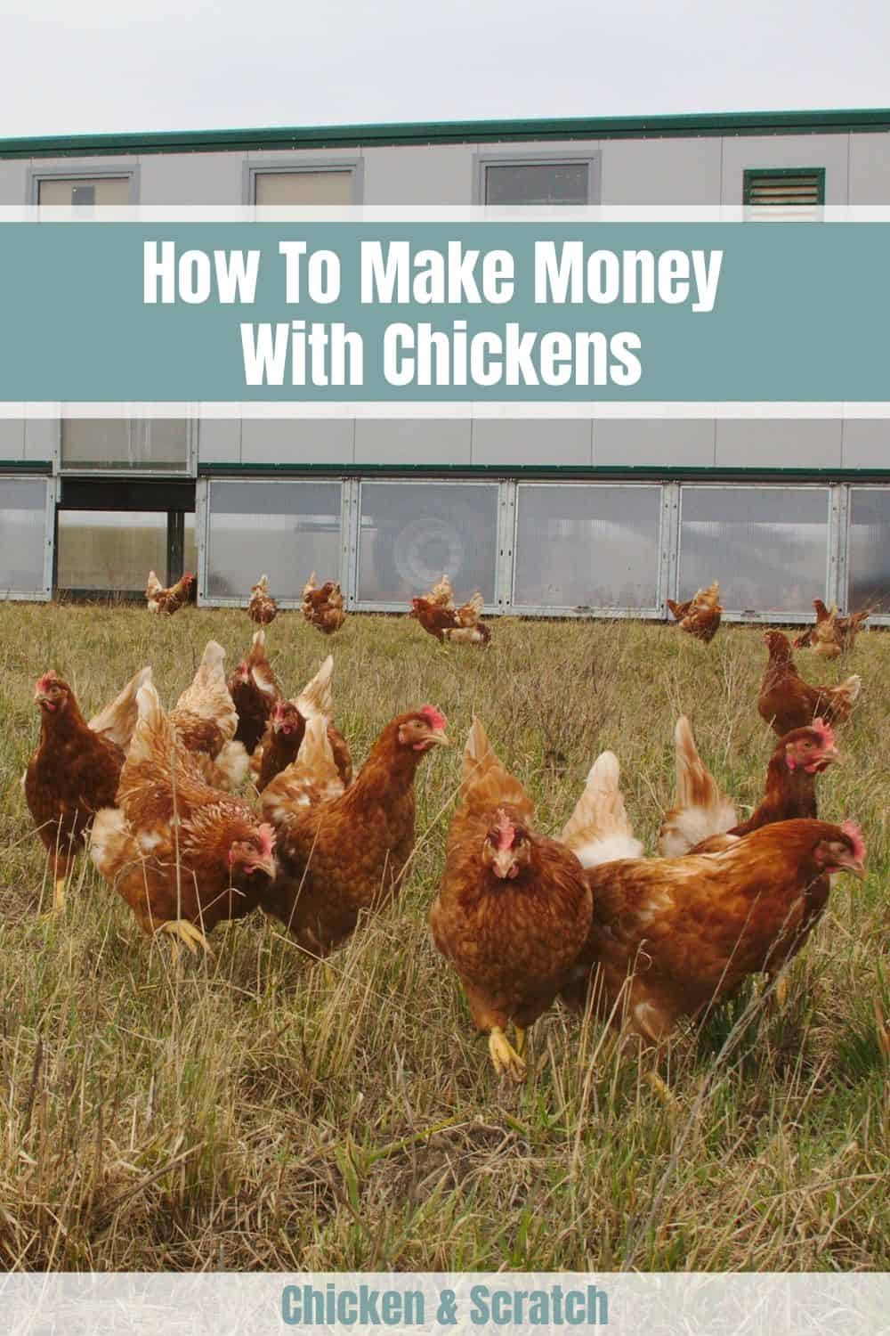 how to make money with chickens
