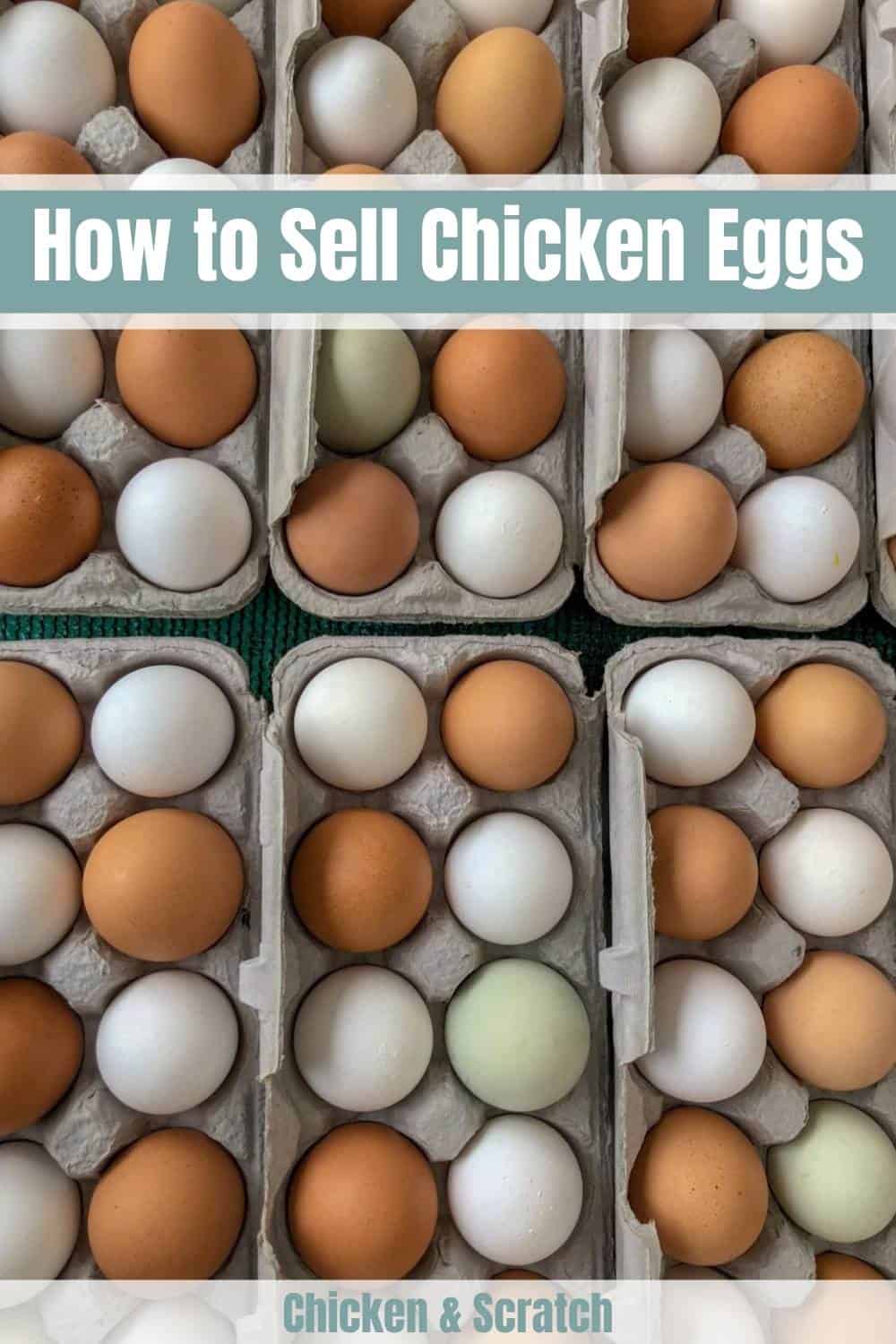 how to sell chicken eggs