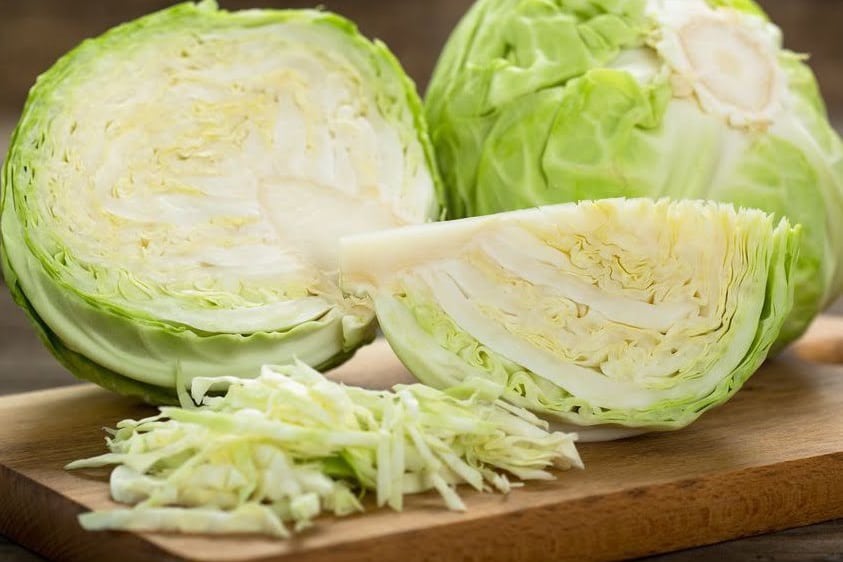 is cabbage good for chickens