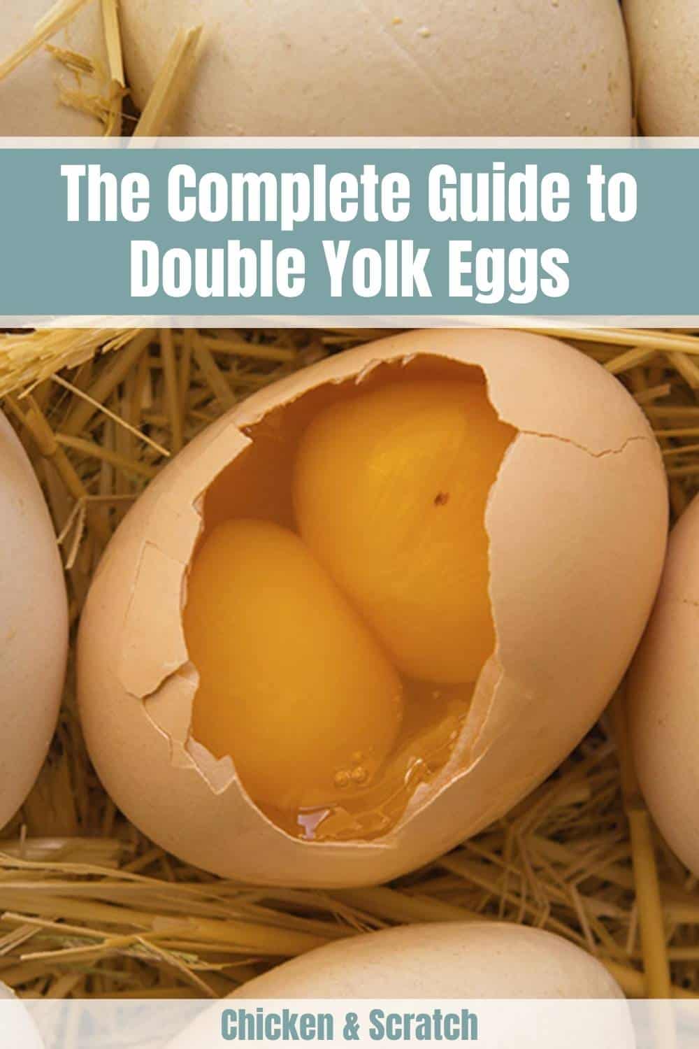 what causes double yolk eggs