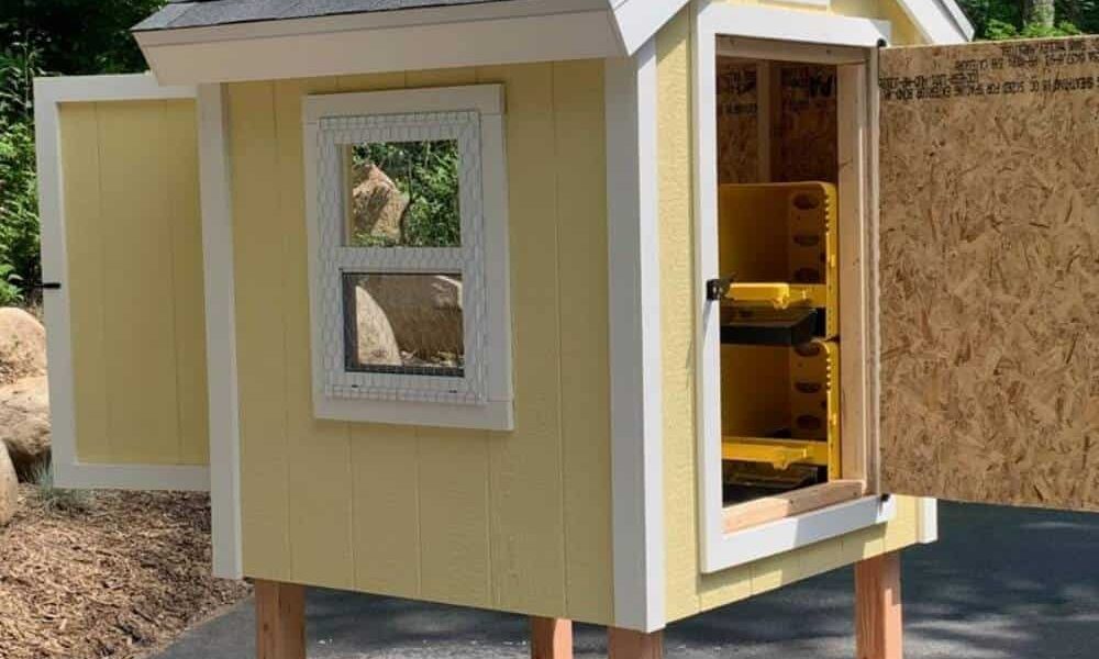 8 Easy 4×4 Chicken Coop Plans to DIY Over the Weekend