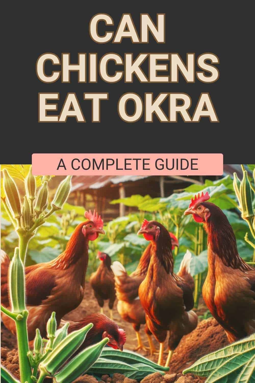Can Chicken Eat Okra