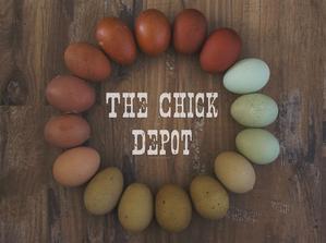 Chick Depot