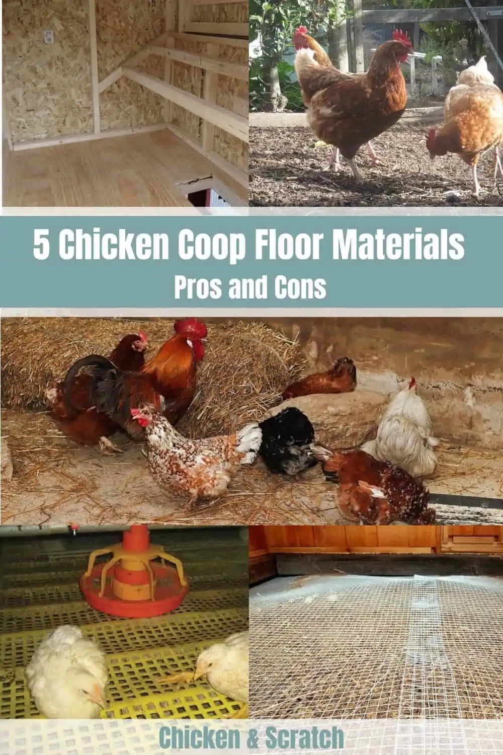 5 Chicken Coop Floor Materials: The Pros & Cons