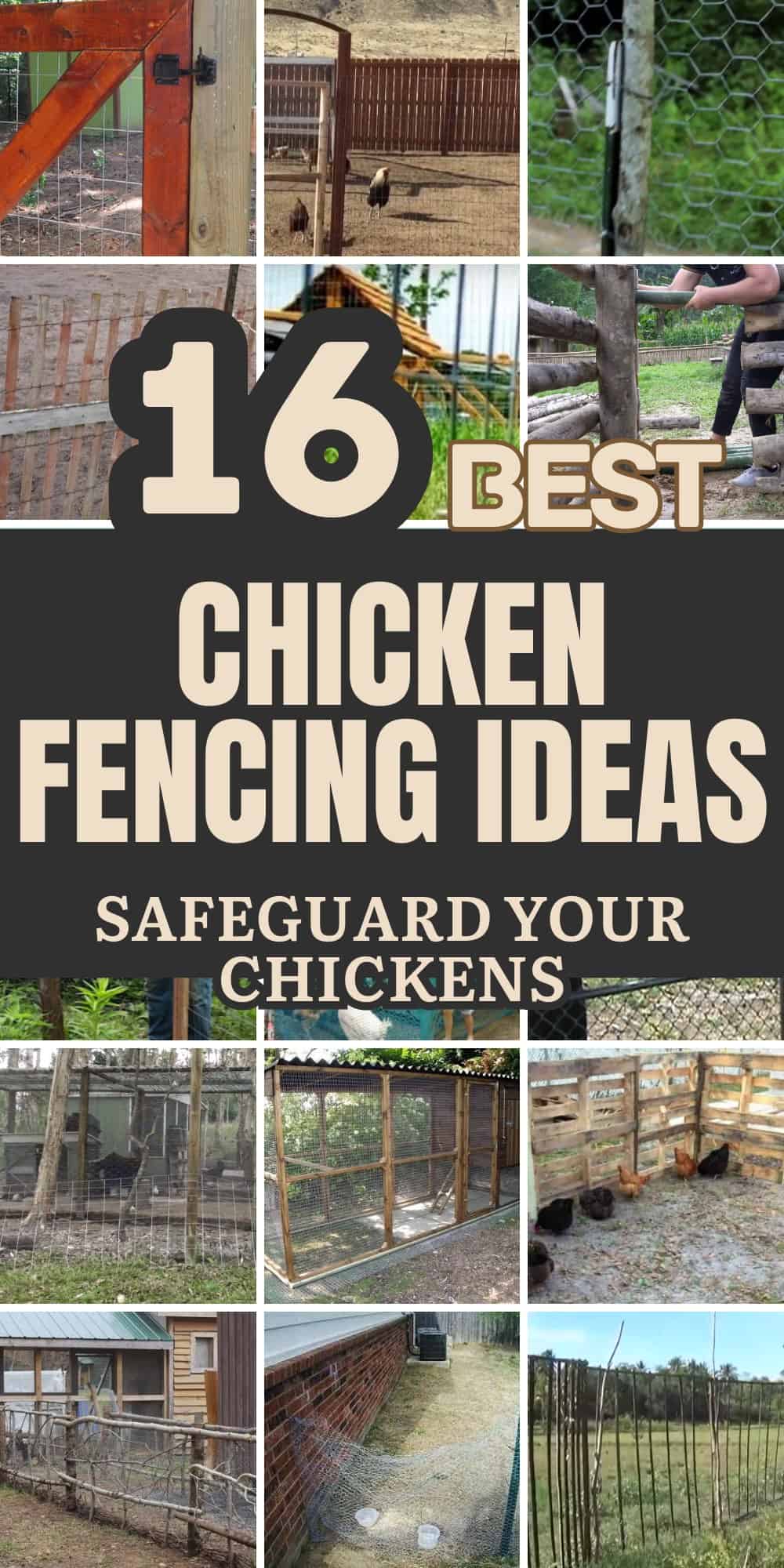 DIY Chicken Fencing