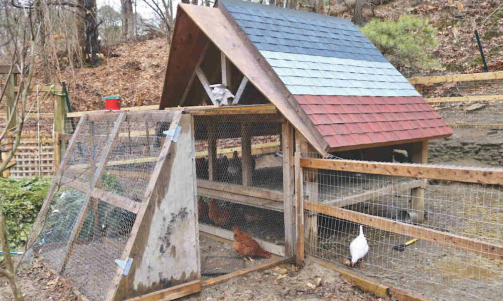 27 Easy Frame Chicken Coop Plans – You Can DIY This Weekend