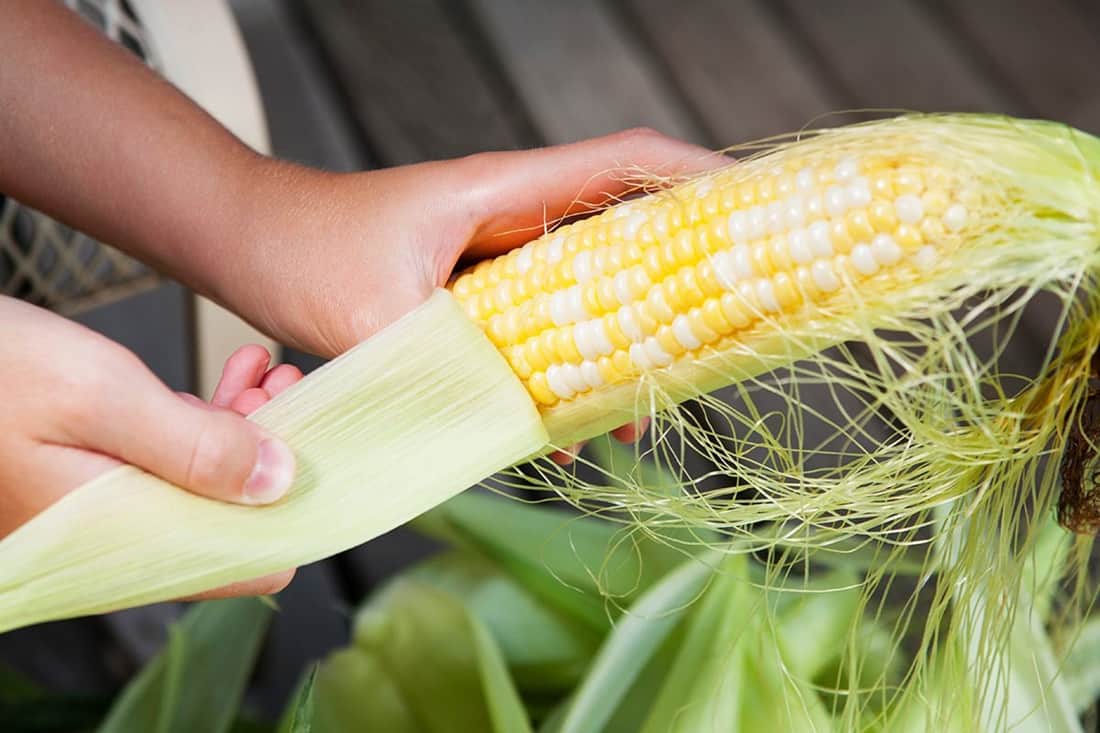 How to Prepare Corn Husks