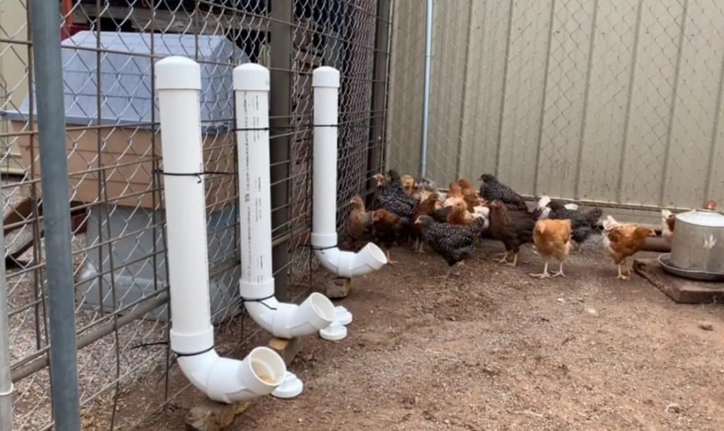 27 DIY Chicken Feeder Ideas You Can DIY this Weekend