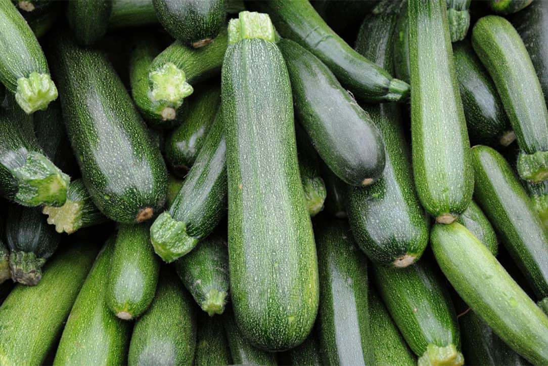 are zucchini leaves poisonous