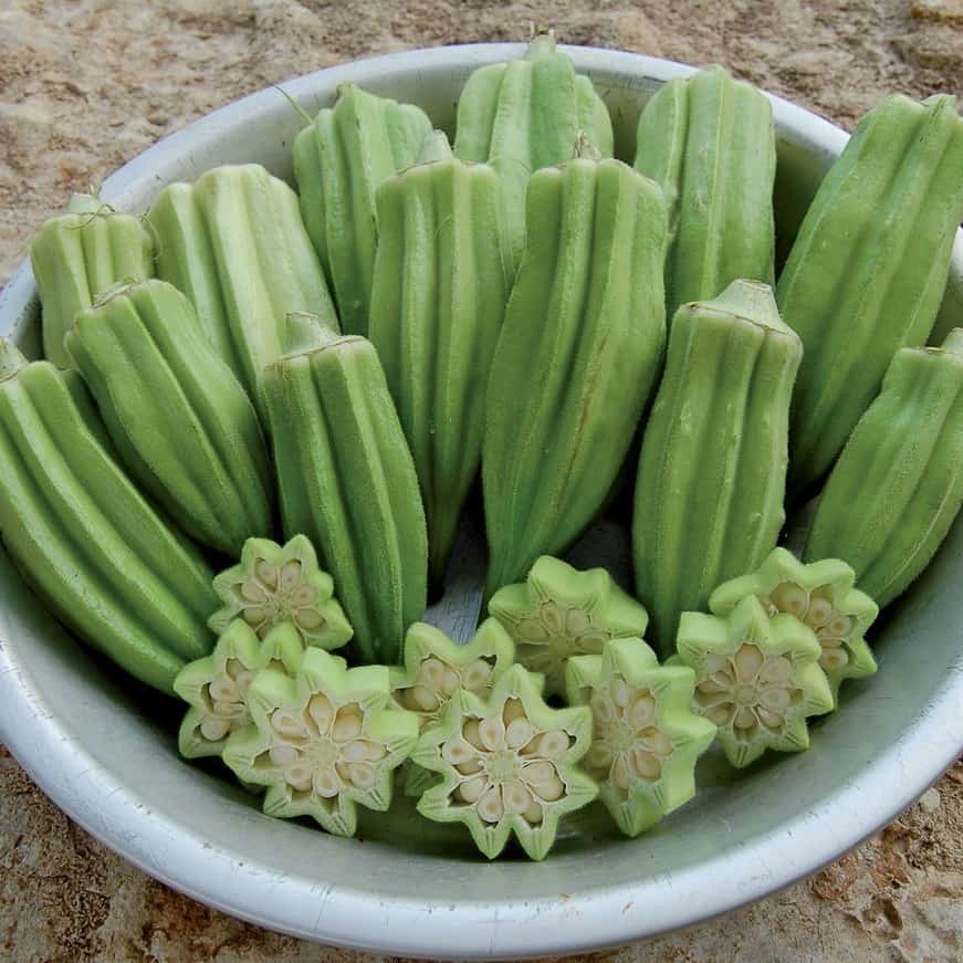 can chickens eat okra pods