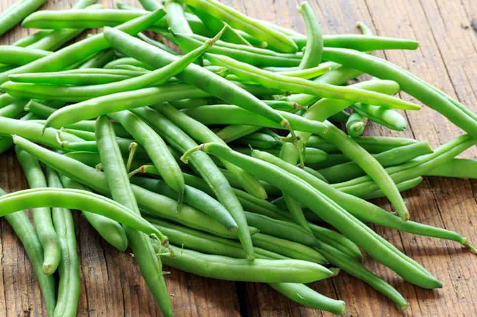 can chickens eat raw green beans