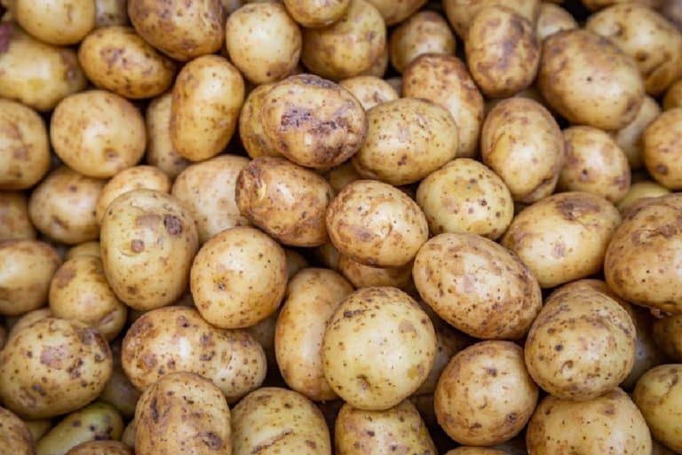 Can Chickens Eat Raw Potatoes? (Nutrition, Advantage, Feeding Tips)