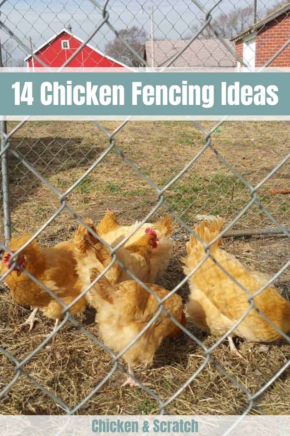 chicken coop fence ideas