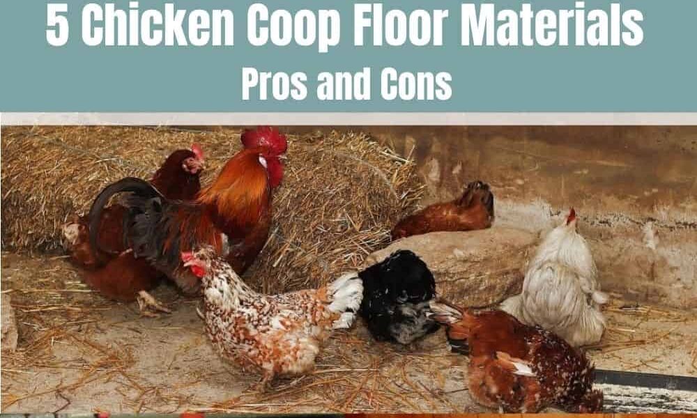 5 Chicken Coop Floor Materials: The Pros & Cons