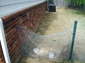 14 Amazing Chicken Fence Ideas To Protect Against Predators