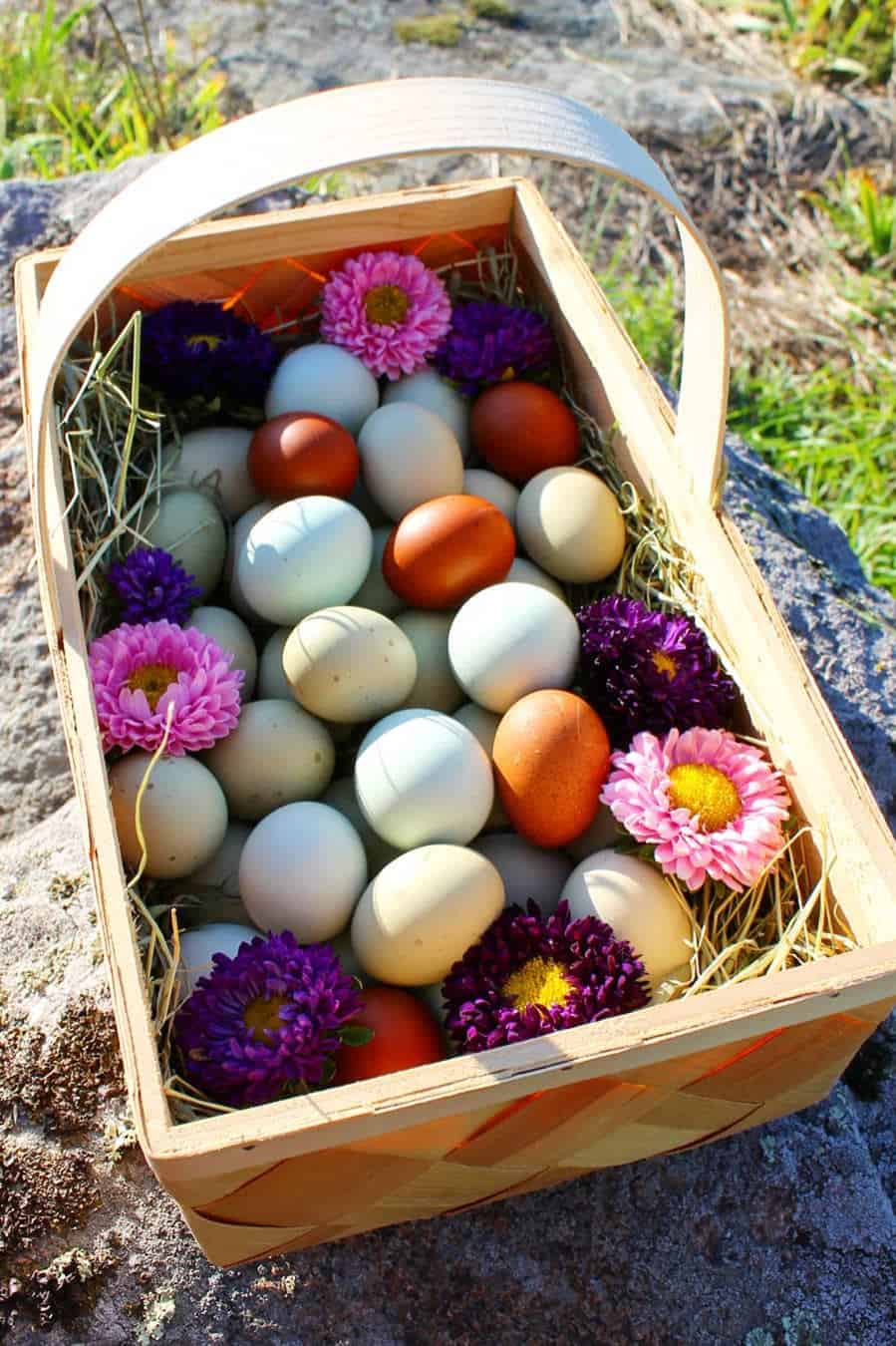 colorful eggs