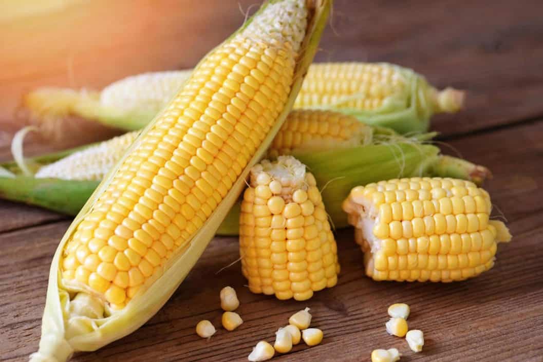 Corn cob powder supplier Corn cob powder supplier