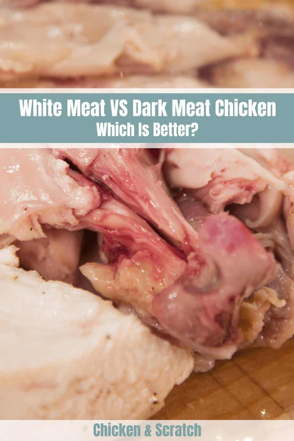 white meat vs dark meat chicken