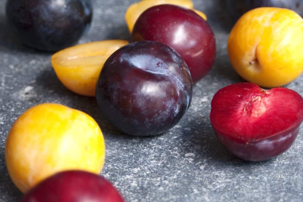 Are plums healthy for chickens