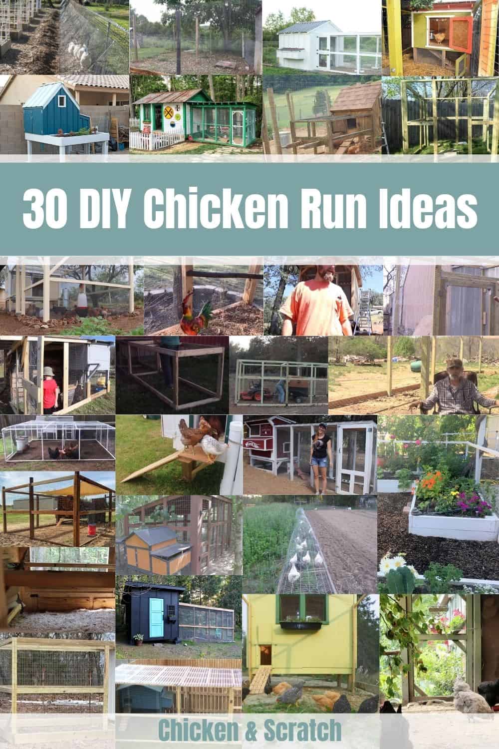 Chicken Run Ideas