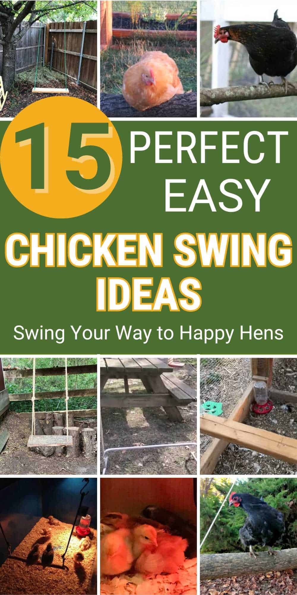 Chicken Swing Ideas