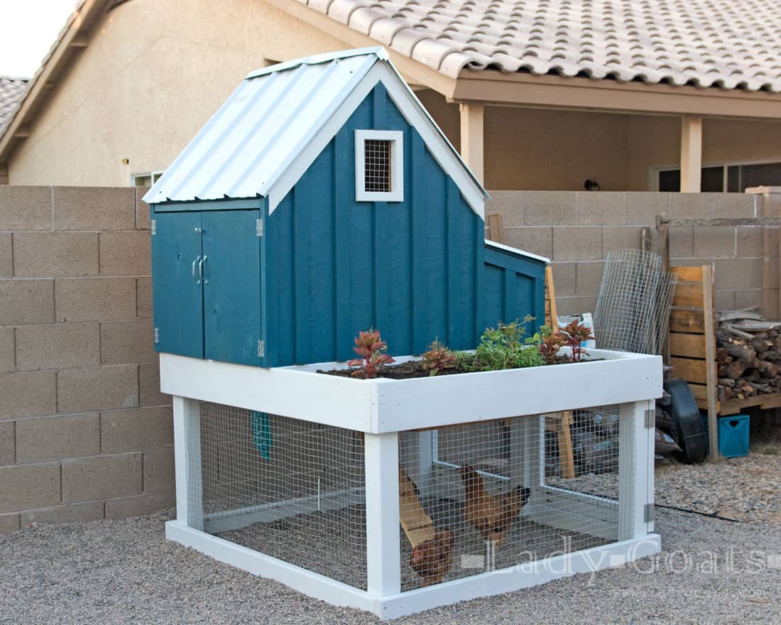 DIY Chicken Run Idea Chicken Run with Planter Box