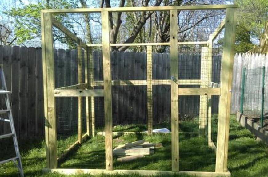 DIY Chicken Run Idea DIY Chicken Run For Newbies