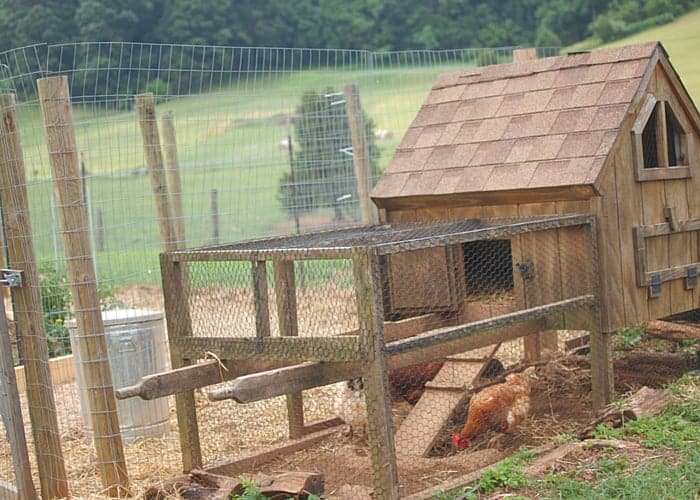 DIY Chicken Run Idea Metal Fencing Chicken Run