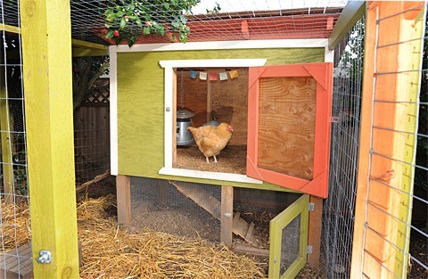 DIY Chicken Run Ideas Urban Chicken Coop Plan