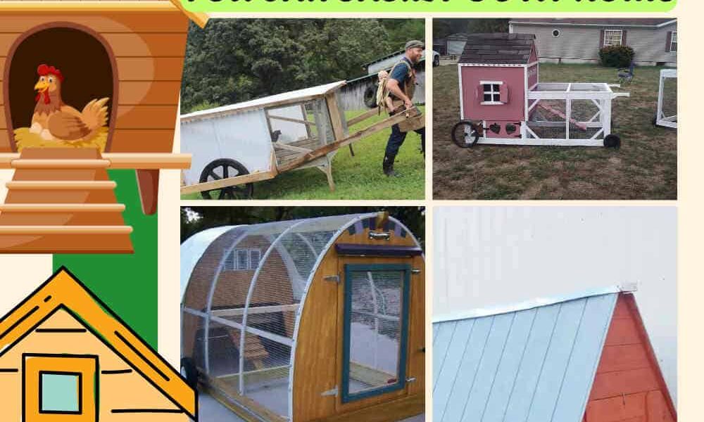 18 Mobile Chicken Coop Plans You Can Easily Do At Home