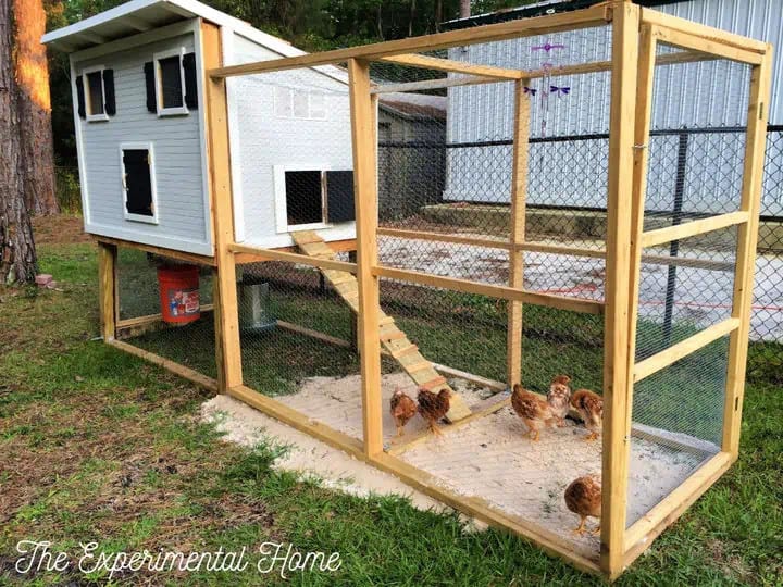 How to Make a Chicken Tunnel - DIY Chicken Garden Run Tunnel