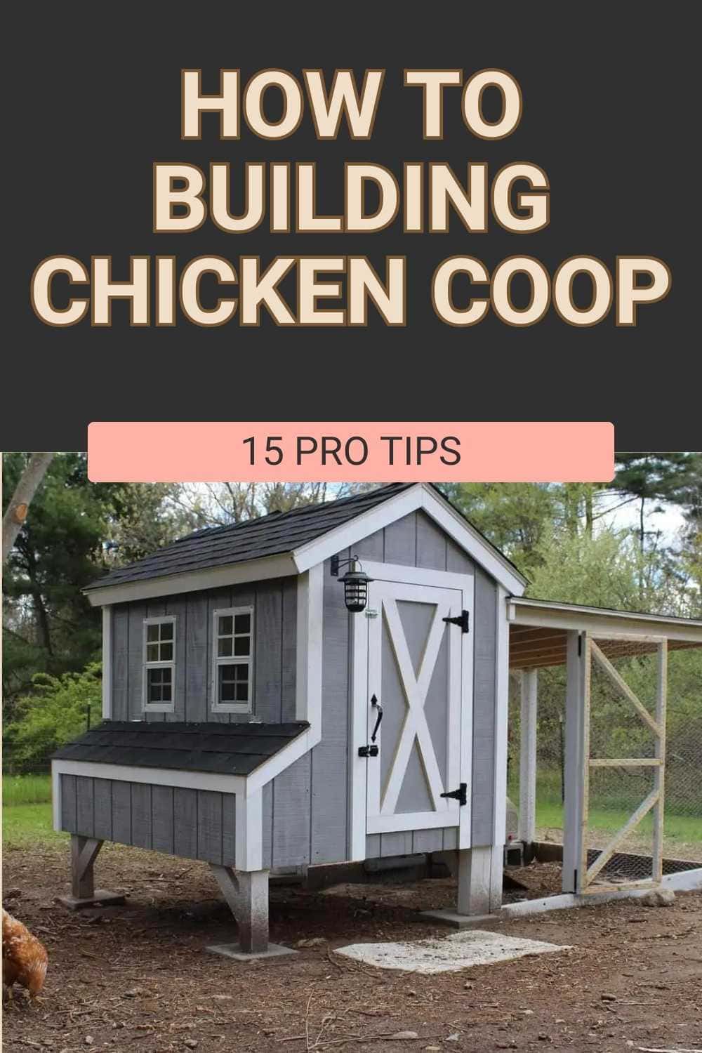 Tips for Building a Chicken Coop Like Expert