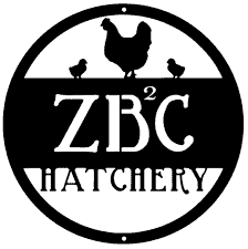 ZB²C Hatchery