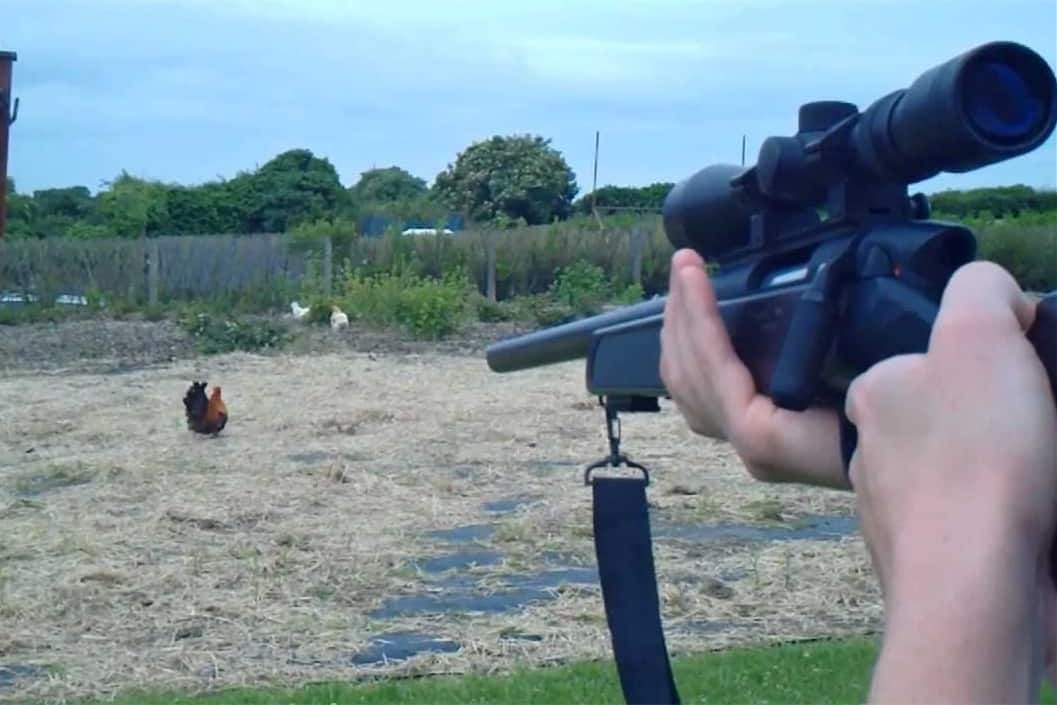 best way to kill a chicken