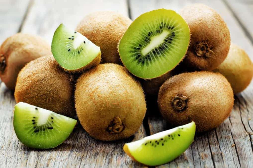 can chickens eat kiwi fruit