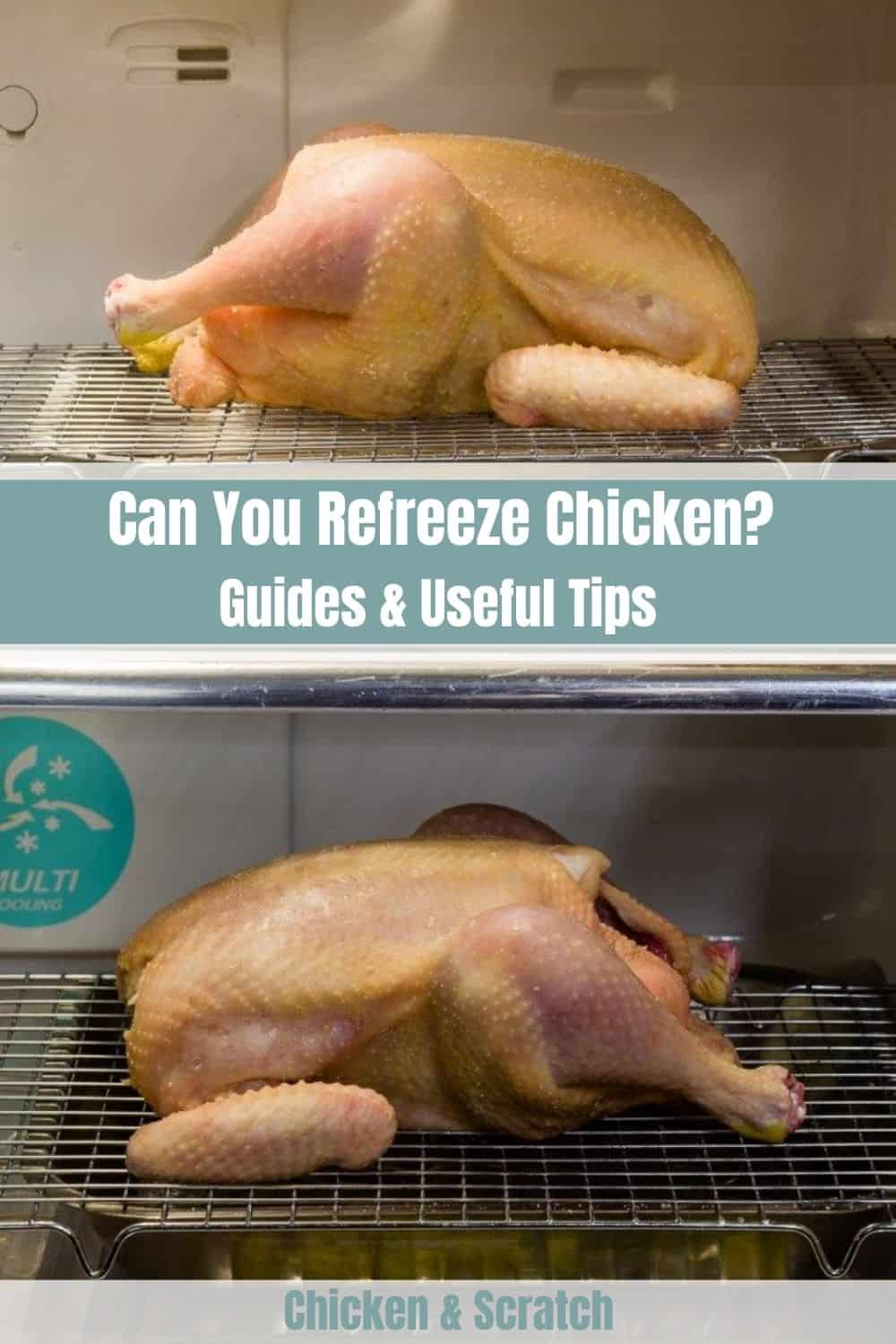 can i refreeze chicken