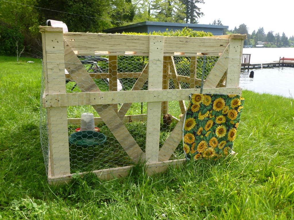 chicken coop from pallets