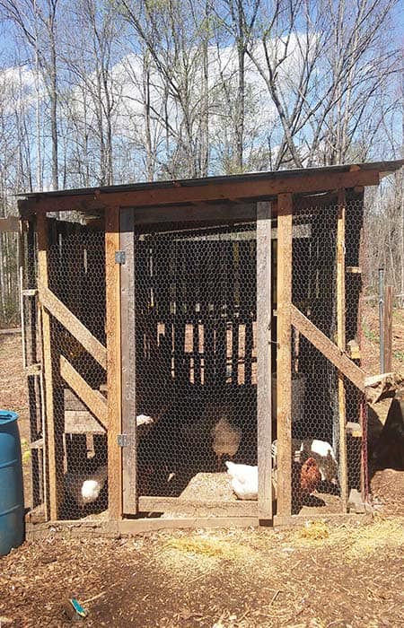 chicken coop out of pallets