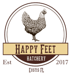 chicken hatcheries florida Happy Feet Hatchery