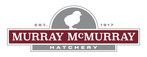 chicken hatcheries in iowa Murray McMurray Hatchery