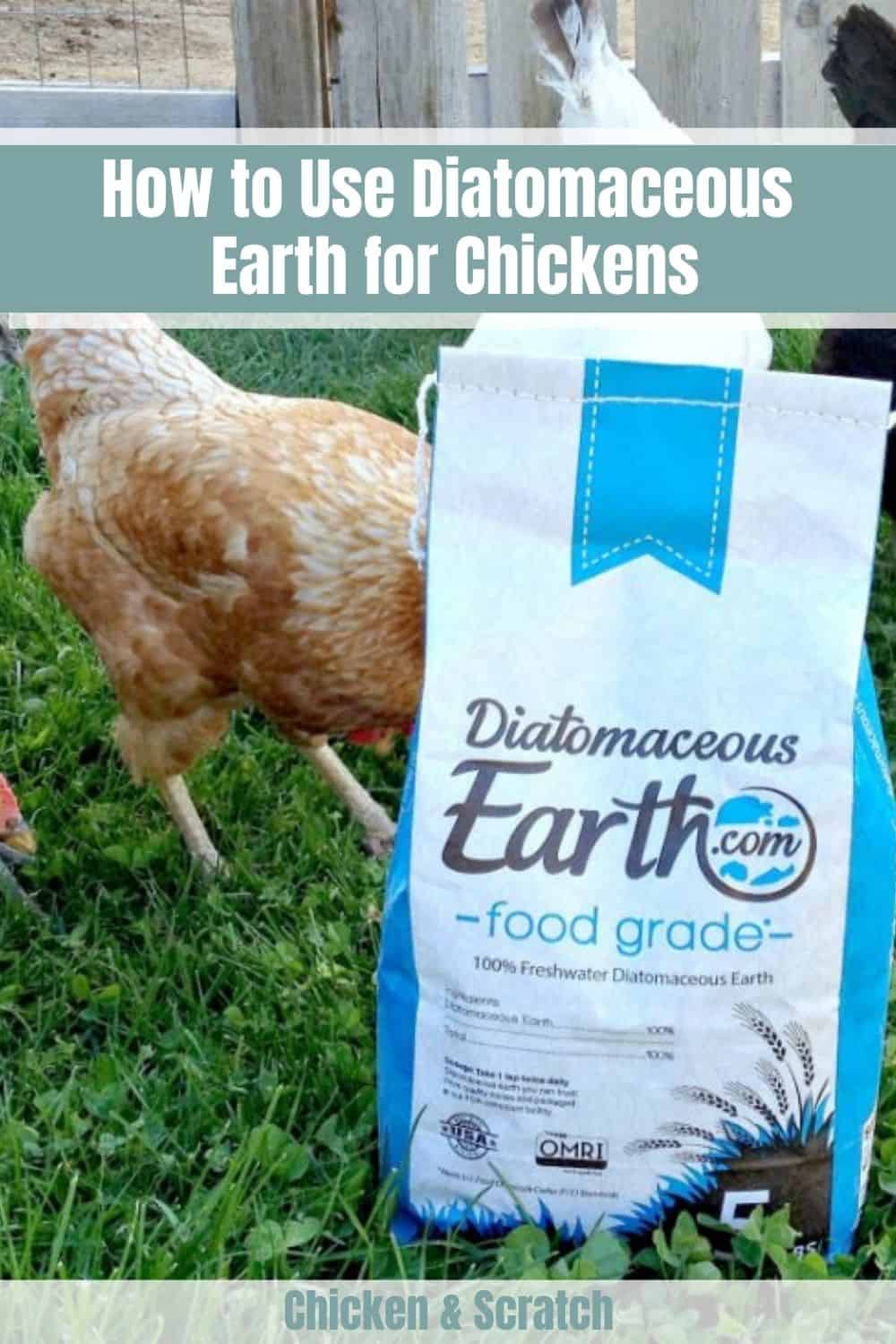 How to Use Diatomaceous Earth for Chickens? Beginner's Guide