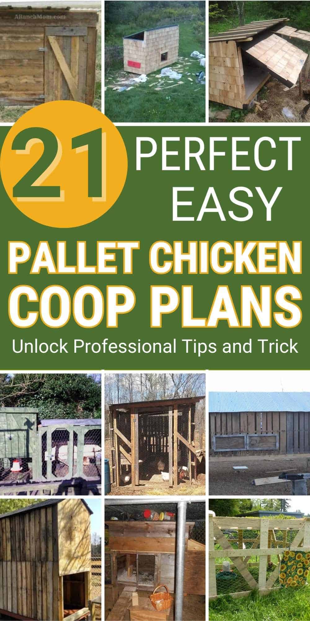 diy Pallet Chicken Coop